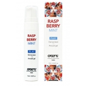Возбуждающий гель Raspberry Mint с ароматом малины и мяты - 15 мл. - Exsens - купить с доставкой в Химках