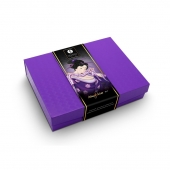 Подарочный набор Naughter Kit - Shunga - купить с доставкой в Химках
