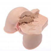 Мастурбатор-полуторс Naked Factory Kate - Naked Factory - в Химках купить с доставкой