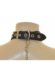 Ошейник  Веселый Роджер - Sitabella - купить с доставкой в Химках