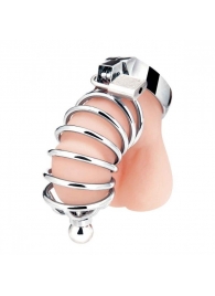Серебристая клетка для члена Urethral Play Cage - BlueLine - купить с доставкой в Химках