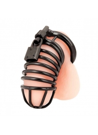 Черная металлическая клетка с замком Deluxe Chastity Cage - BlueLine - купить с доставкой в Химках
