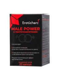 Капсулы для мужчин Erotichard male power с пантогематогеном - 20 капсул (0,370 гр.) - Erotic Hard - купить с доставкой в Химках