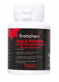 Капсулы для мужчин Erotichard male power с пантогематогеном - 20 капсул (0,370 гр.) - Erotic Hard - купить с доставкой в Химках