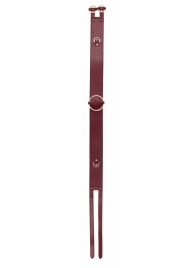 Бордовый ремень Halo Waist Belt - размер L-XL - Shots Media BV - купить с доставкой в Химках