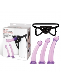 Тренировочный набор с тремя насадками Pegging Training Set - Lux Fetish - купить с доставкой в Химках