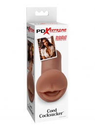 Мастурбатор-ротик Coed Cocksucker - Pipedream - в Химках купить с доставкой
