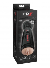 Мастурбатор-вагина с вибрацией Dirty Talk Starter Stroker - Pipedream - в Химках купить с доставкой