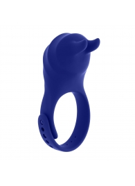 Синее эрекционное виброкольцо с клиторальной подушечкой и пультом ДУ Adjustable Fun Ring - Zero Tolerance - в Химках купить с доставкой