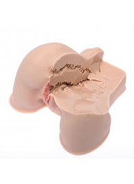 Мастурбатор-полуторс Naked Factory Kate - Naked Factory - в Химках купить с доставкой