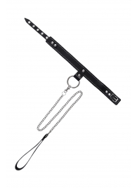 Черный узкий однослойный ошейник с серебристым поводком-цепочкой - Pecado - купить с доставкой в Химках