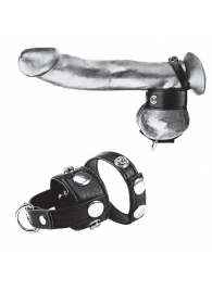 Утяжка для мошонки и пениса Cock Ring With 1  Ball Stretcher And Optional Weight Ring - BlueLine - купить с доставкой в Химках
