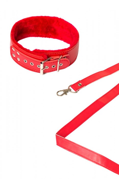 Красный ошейник Circus с поводком - Lola Games - купить с доставкой в Химках