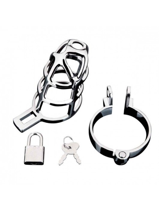 Серебристая металлическая клетка для члена с замком Enslave Cock Cage - BlueLine - купить с доставкой в Химках
