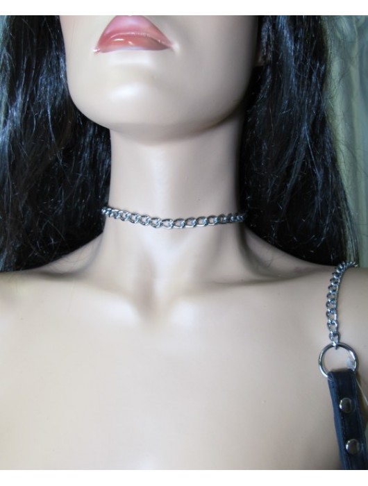 Металлический поводок с кожаной ручкой - БДСМ Арсенал - купить с доставкой в Химках