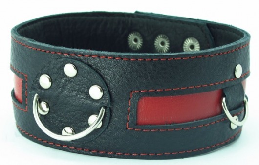 Чёрный кожаный ошейник с красной полосой и кольцами - БДСМ Арсенал - купить с доставкой в Химках