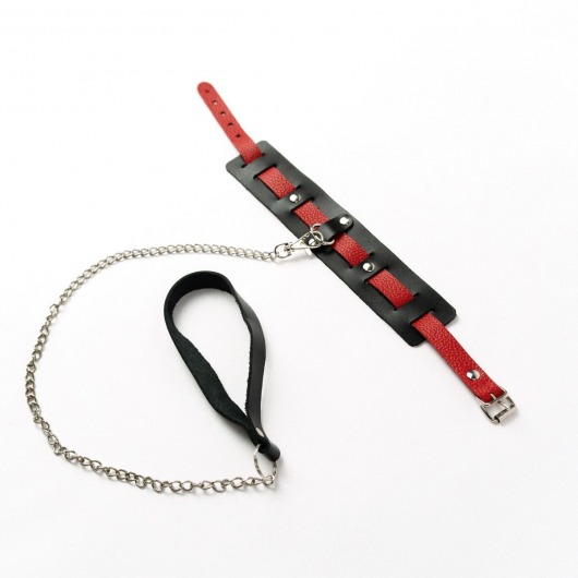 Черный ошейник с красным ремешком и поводком - Crazy Handmade - купить с доставкой в Химках