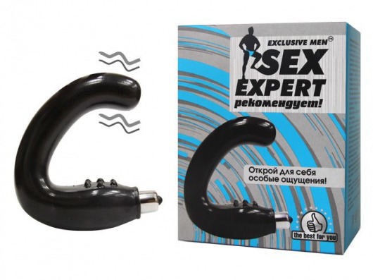 Чёрный массажёр простаты серии Sex Expert - Sex Expert - в Химках купить с доставкой