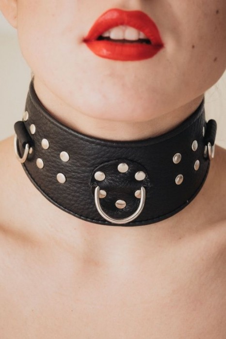Кожаный ошейник для эротических игр - БДСМ Арсенал - купить с доставкой в Химках