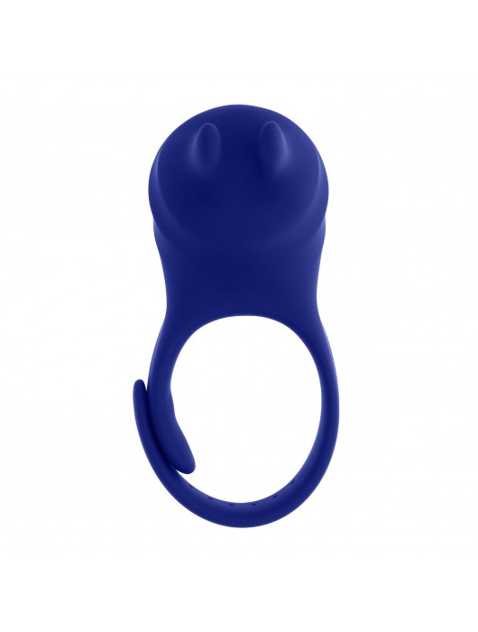 Синее эрекционное виброкольцо с клиторальной подушечкой и пультом ДУ Adjustable Fun Ring - Zero Tolerance - в Химках купить с доставкой