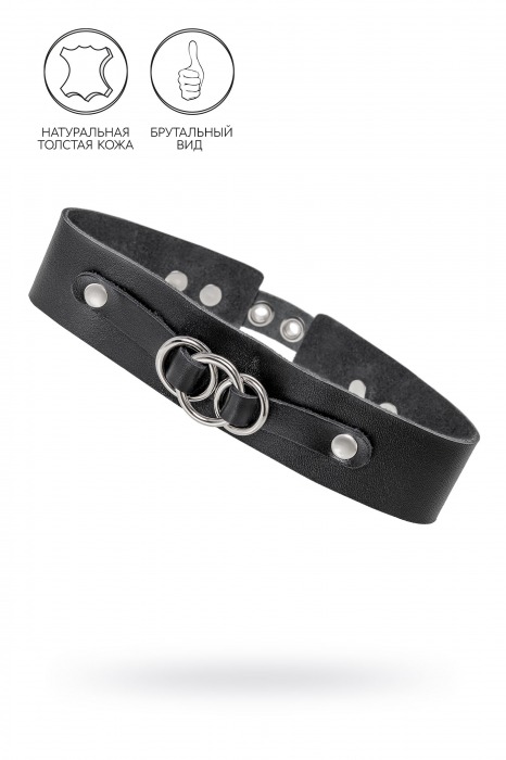 Черный чокер-ошейник со связанными кольцами на подложке - Pecado - купить с доставкой в Химках