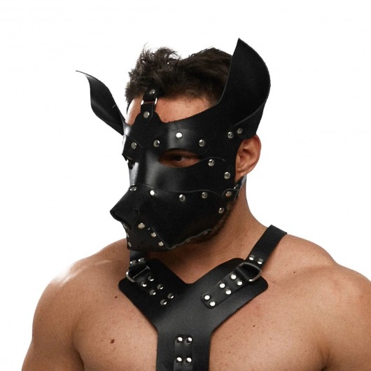Черная кожаная маска «Собака» - Crazy Handmade - купить с доставкой в Химках