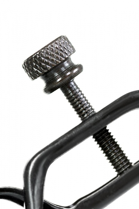 Черно-золотистые зажимы для сосков TOYFA Theatre - ToyFa - купить с доставкой в Химках