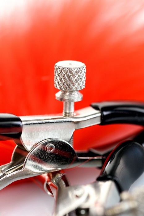 Зажимы для сосков с красным пухом Theatre - ToyFa - купить с доставкой в Химках